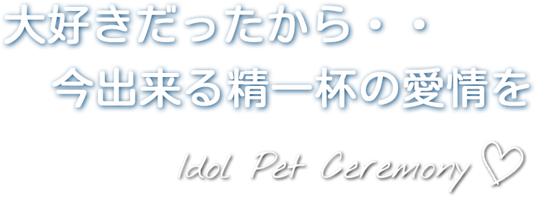 大好きだったから・・ 今出来る精一杯の愛情を